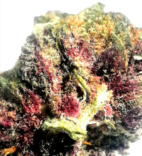 Permanent marker (10g)