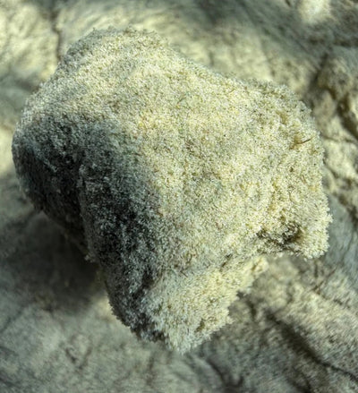Thca Skuff Kief USA 450G