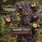Fleurs thca USA 113G